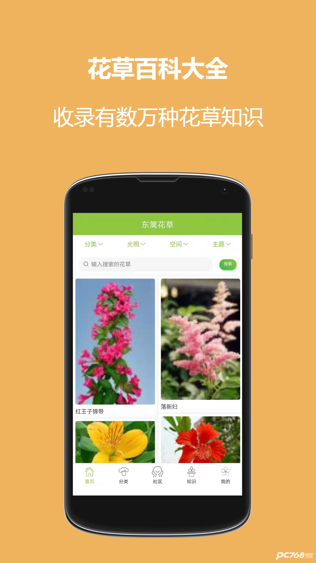 东篱花草