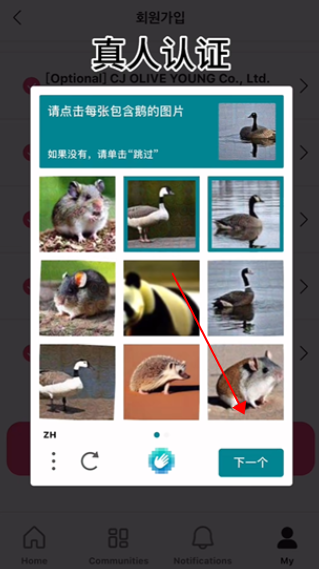 pluschat安卓版