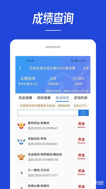 青鸽网