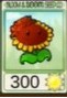 植物大战僵尸乱斗版(真·植物大战僵尸)