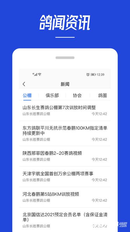 青鸽网