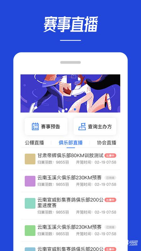 青鸽网