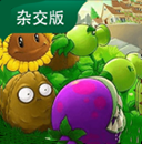 植物大战僵尸杂交版僵尸大战版